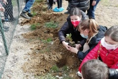 un-albero-per-il-futuro-4