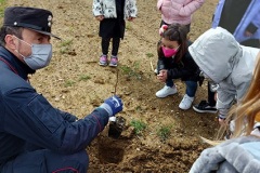 un-albero-per-il-futuro-6