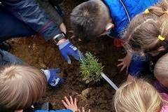 un-albero-per-il-futuro-8